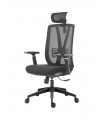 Ergonomic High Mesh Back Chair with Armrest